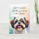 Search for shih tzu cards Cute