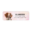 Search for brittany return address labels Cute