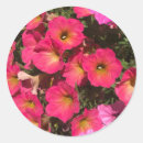 Search for springtime stickers Nature