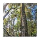 Search for gum tiles Eucalyptus