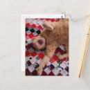 Search for yawn postcards Cat