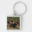 Search for wild turkey key rings Animal