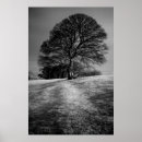Search for black and white landscape posters Fields