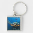 Search for green turtle key rings Coastal