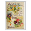 Search for sweet peas postcards Seeds