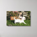 Search for chihuahua dog canvas prints Puppies