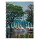 Search for habitat notebooks Park