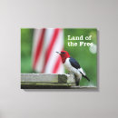 Search for watcher art Birding
