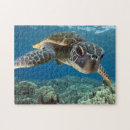 Search for hawaiian puzzles Coastal