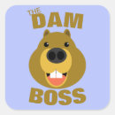 Search for dams stickers Funny