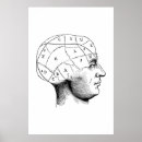 Search for head anatomy posters Brain