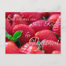 Search for vegetarian humour postcards Funny