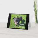 Search for humor nephew birthday cards Grandson