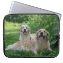 Search for flat coated retriever electronics Bob and pam langrish