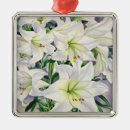 Search for lily christmas tree decorations Still life