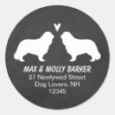 Search for cavalier king charles stickers Dog