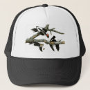 Search for extinct hats Animals