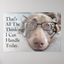 Search for weimaraner posters Puppy