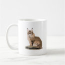 Search for coon mugs Pet