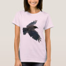 Search for birdlife Ravens
