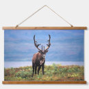 Search for caribou art Rangifer tarandus