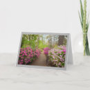 Search for garden path cards Photography