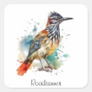Search for roadrunner stickers Desert