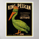 Search for pelicans posters Moon
