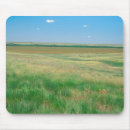 Search for midwest mouse mats Nature