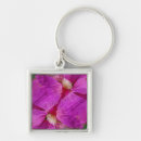 Search for montage key rings Superstock