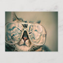 Search for smiling cat postcards Pet