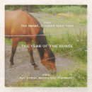 Search for horse coasters Nature