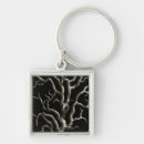 Search for undersea key rings Ocean