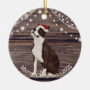 Search for boston christmas tree decorations Dog