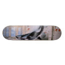 Search for orca skateboards Nature