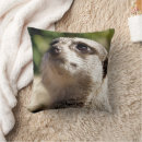Search for meerkat cushions Animals