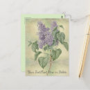 Search for vintage botanical postcards Purple