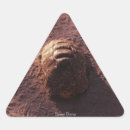 Search for animal track stickers Patterns