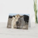 Search for adopt child cards Baby