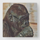 Search for chimpanzees clocks Chimps