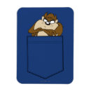 Search for pocket magnets Mini