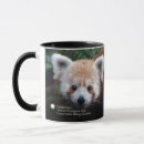 Search for red panda mugs Wild