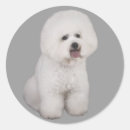 Search for bichon stickers Frise