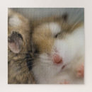 Search for moving puzzles Cute