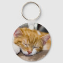 Search for kittens key rings White