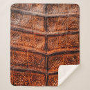 Search for snake blankets Abstract