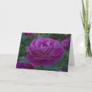 Search for desert flowers cards Garden