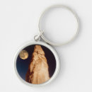 Search for eroded key rings Sandstone