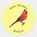 Search for northern cardinal stickers Bird
