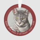 Search for pet memorial ornaments Cat